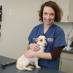 Cindy Karsten, DVM, with pup on exam table