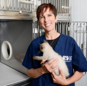 Dr. Kate Hurley Director of the UC Davis Koret Shelter Medicine Program, with kitten