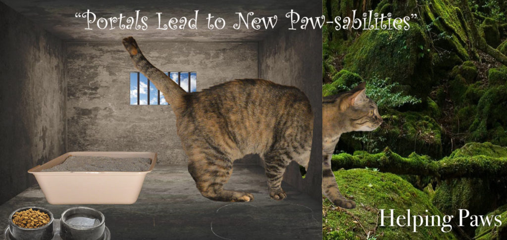 Portals lead to new paws-abilities photomontage