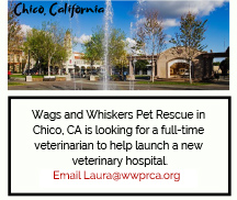 Veterinarian wanted in Chico, CA