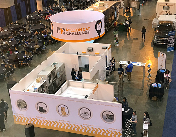Million Cat Challenge housing booth at Expo 2019