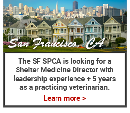 Help wanted SF SPCA