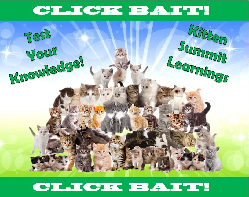 Click Bait: Kitten Summit Learnings