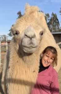 Dr. Delany and her Bactrian camel, Sterling.