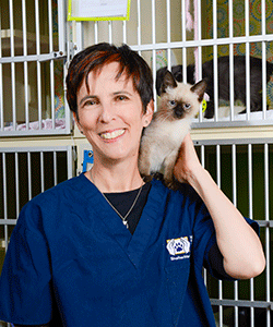 Dr. Hurley in dark blue KSMP scrubs with a Siamese kitten on her shoulder, a bank of cat cages behind her.