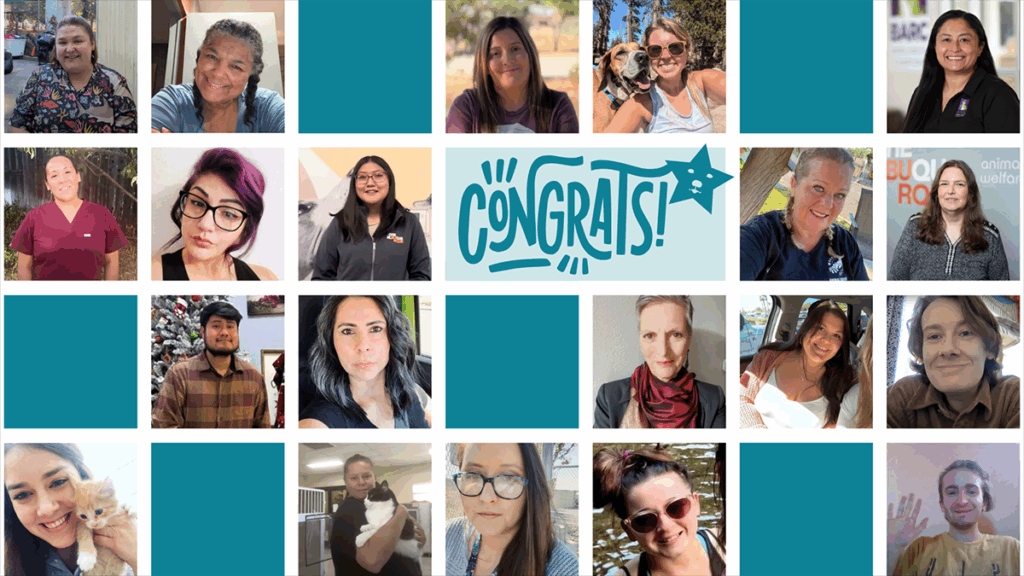 Shelter Care Specialist Certification Program graduates