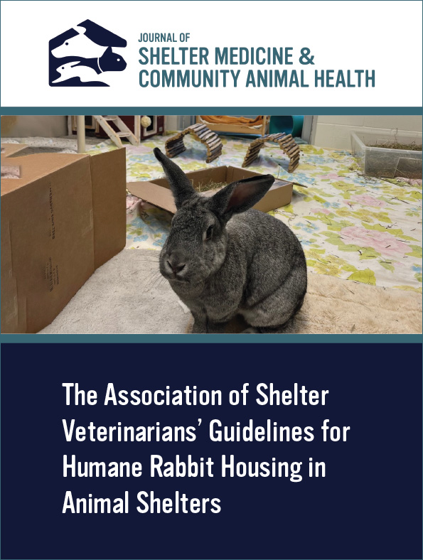 Cover page of the guidelines, showing a gray rabbit on a beige rug with cardboard box on its right.