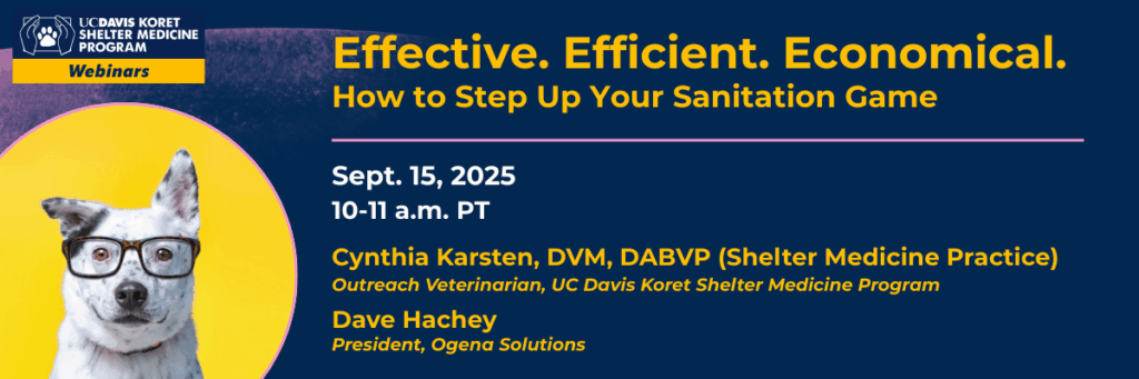 Webinar promo graphic with white dog wearing spectacles in a gold circle