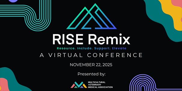 RISE Remix conference promo graphic with white text on a black background